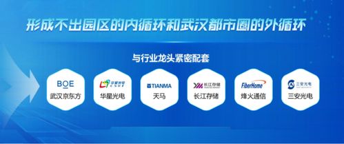 光电子信息产业强势崛起,黄石为什么能