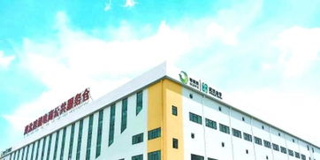 武汉跨境电商企业出口 免税 了