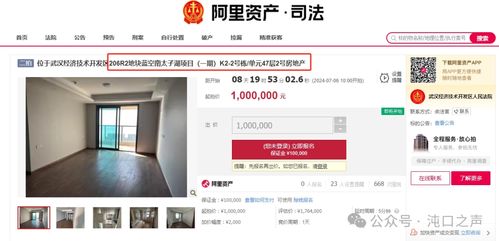 无力偿还房贷 沌口核心商业住宅100万起拍...