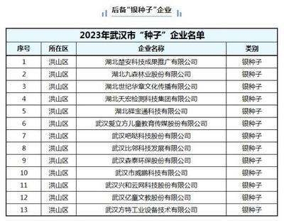 武汉"金种子""银种子"名单公布 洪山25家企业入选