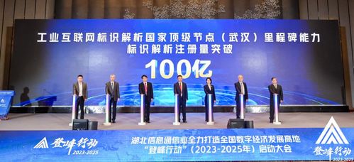 工业互联网标识解析国家顶级节点 武汉 标识注册量突破100亿