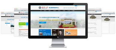 武汉大学卓玉教育培训中心 打造企业门户网站的必要性与实践