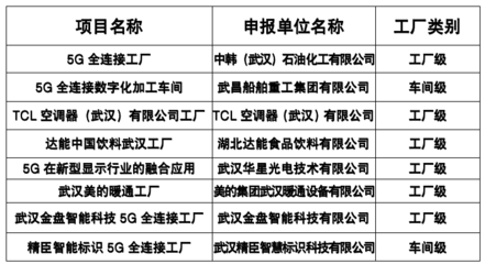 武汉市人民政府门户网站与武汉企业网站 共建智慧城市生态